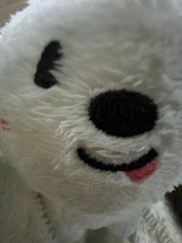 유유
