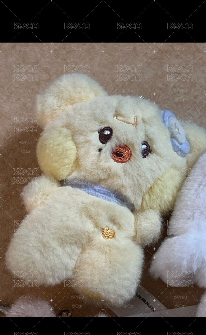 line friends 伶吊飾娃