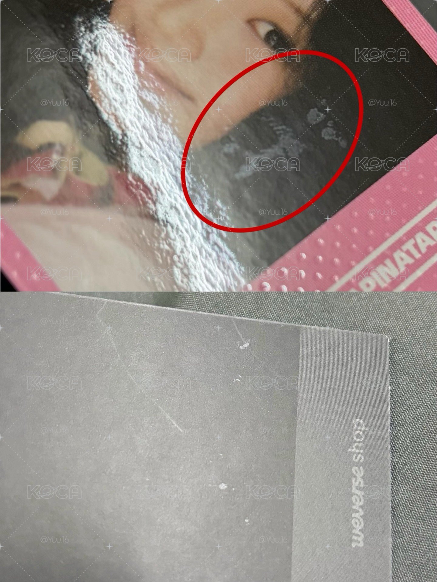 wvs預售禧*2