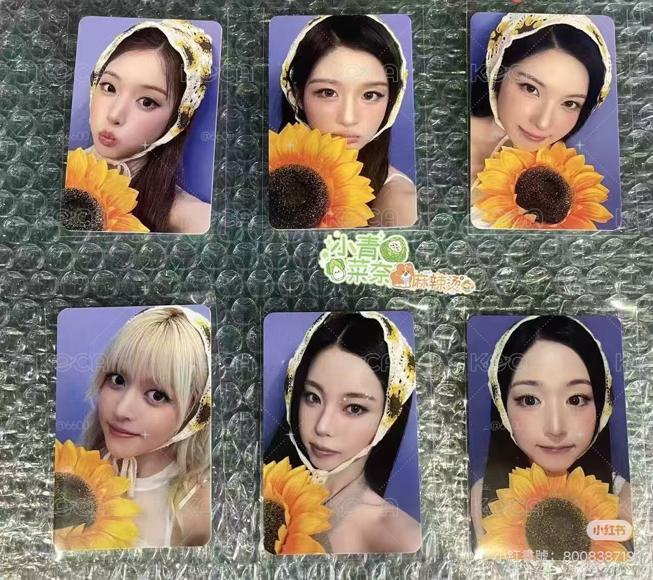 向日葵裴