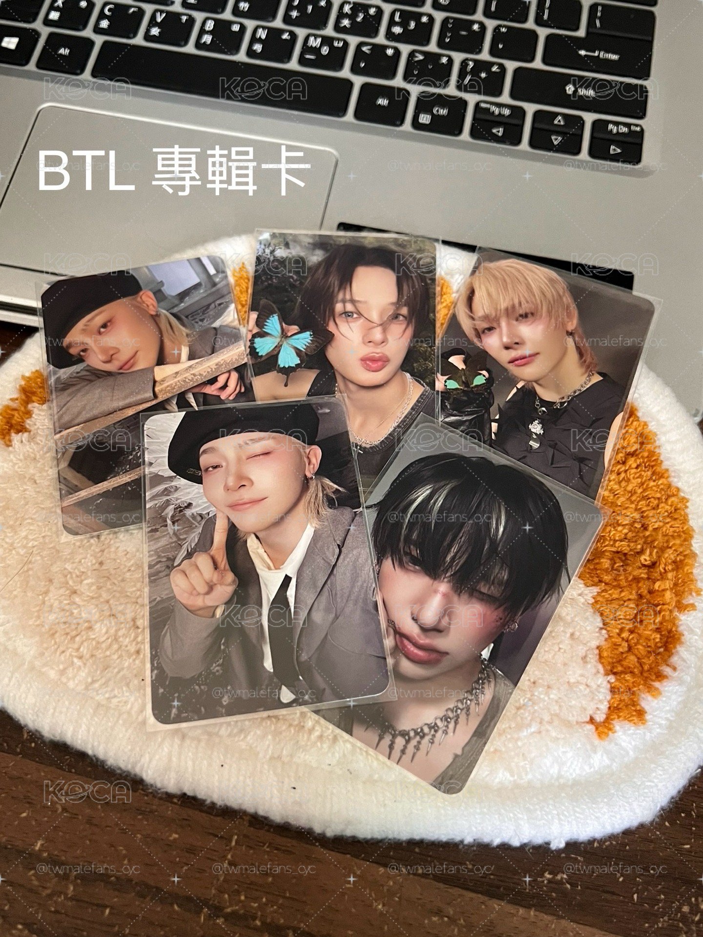 BTL 專輯卡