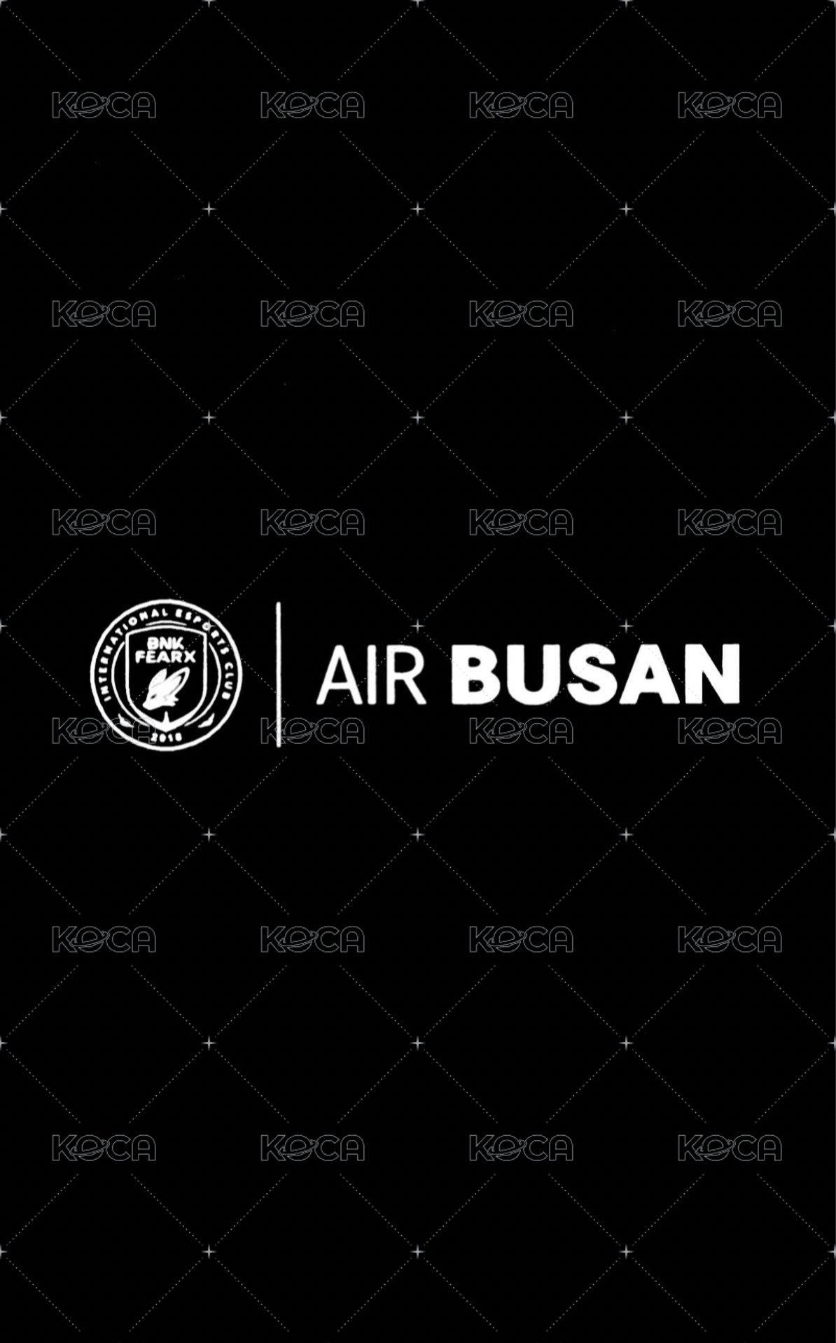 25'BFX 入場卡 / 場限卡 觀賽卡（釜山航空） 背面