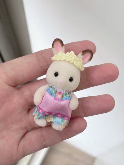 森林家族盲包兔子🐰
