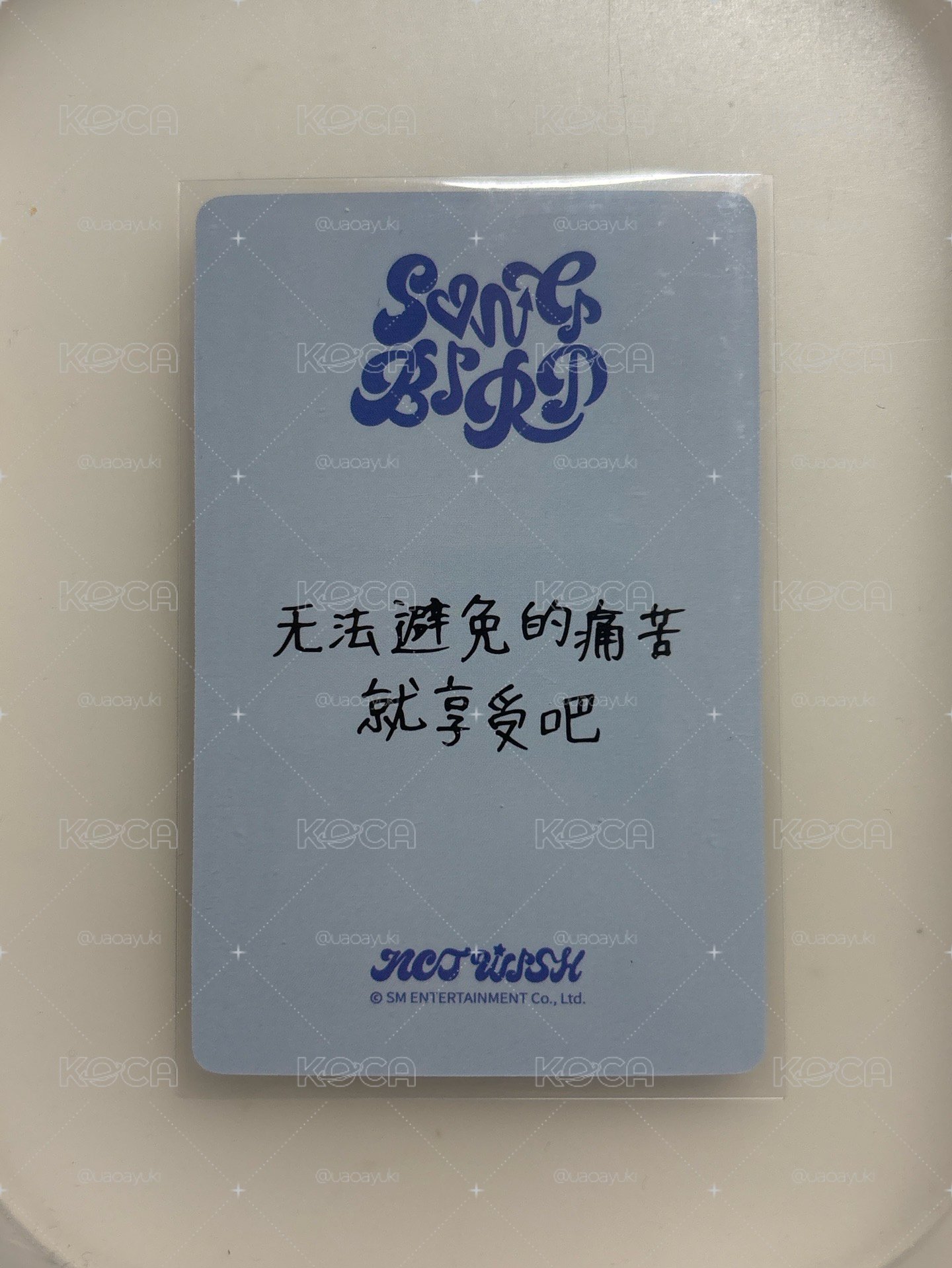 yzy中背