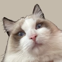 嚴小貓