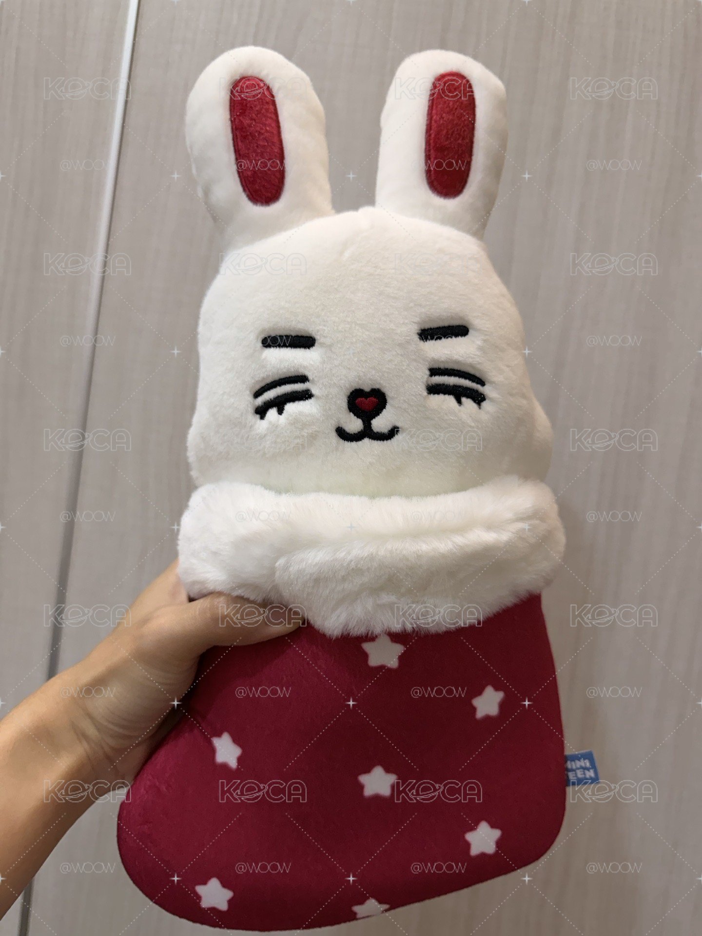 SCOUPS 聖誕站娃🍒