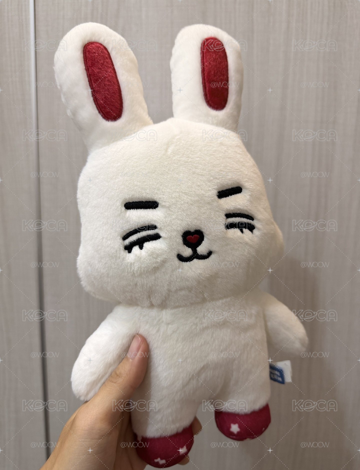 SCOUPS 聖誕站娃🍒