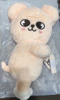 側背包 帕皮