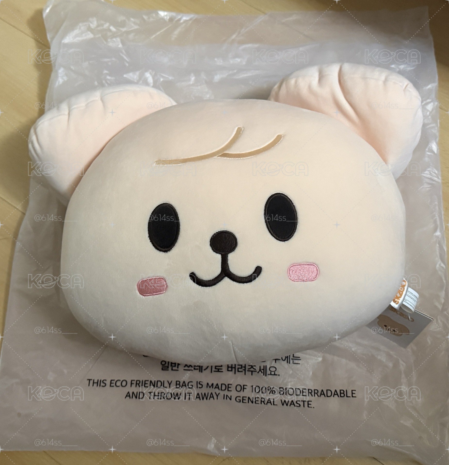 [全場不綁] SKZ 豆豆眼抱枕 帕皮