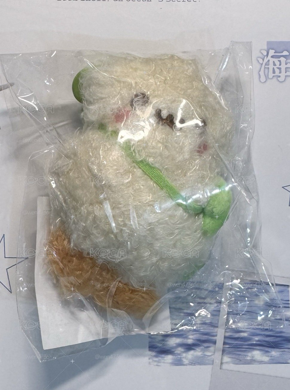 H2H ian娃 鄭花生 全新未拆