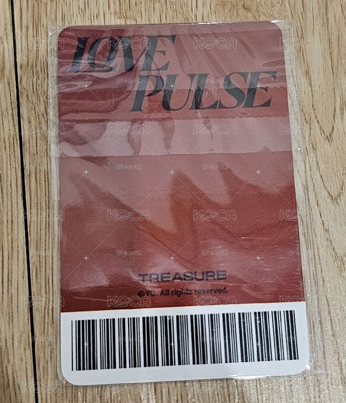 TREASURE LOVE PULSE🐨