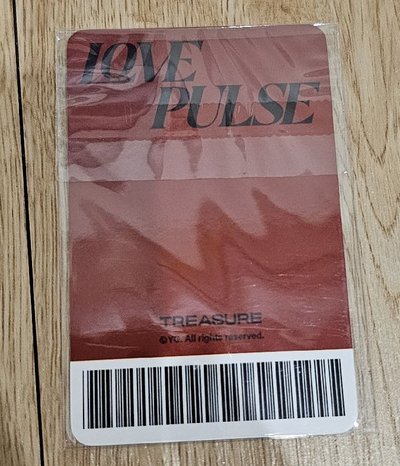TREASURE LOVE PULSE🐨