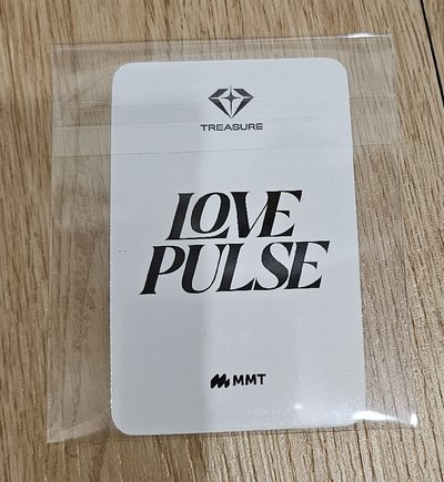 TREASURE LOVE PULSE 🐨