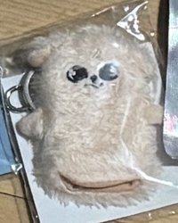 手指套 帕皮