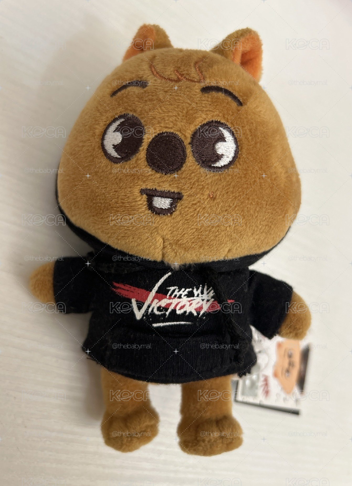 Straykids 韓知城 快閃店小娃