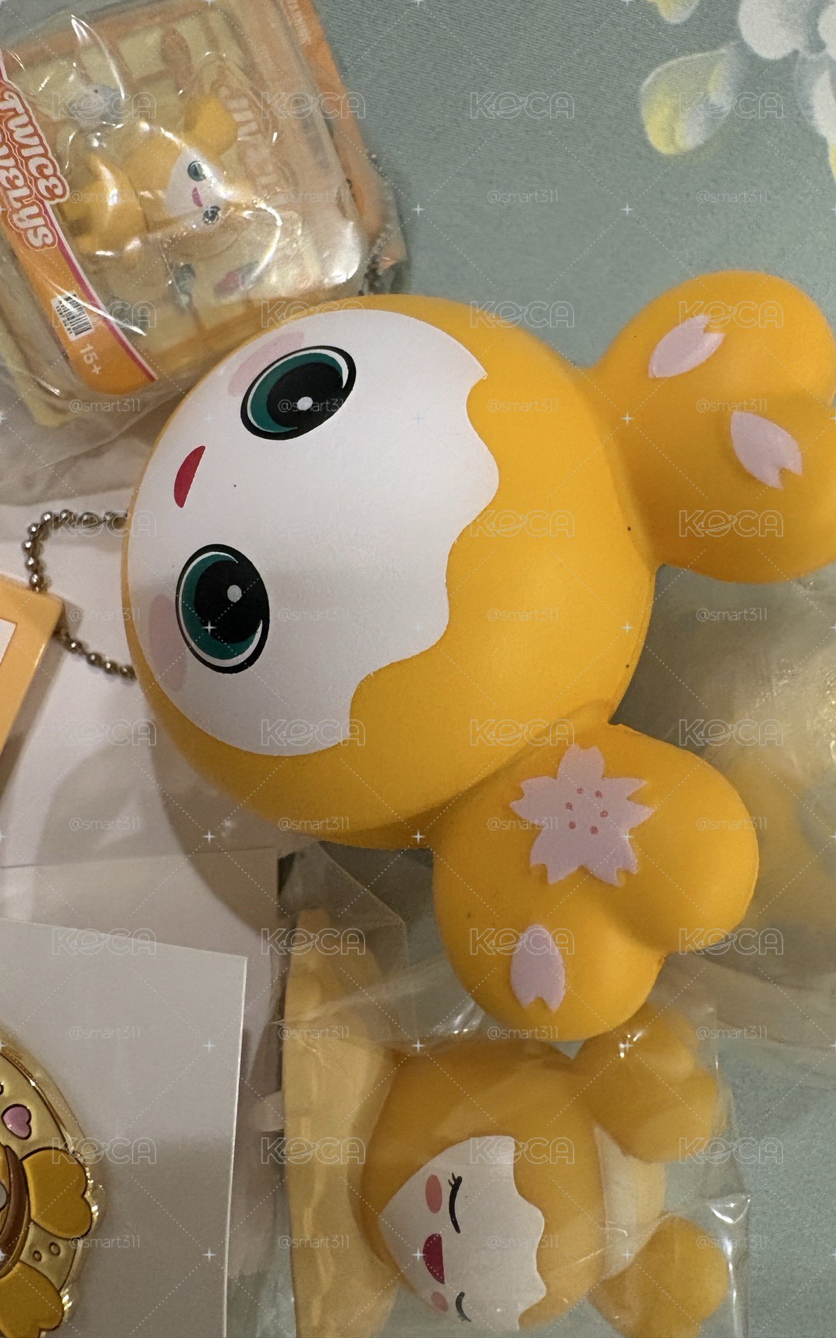 隊長盤