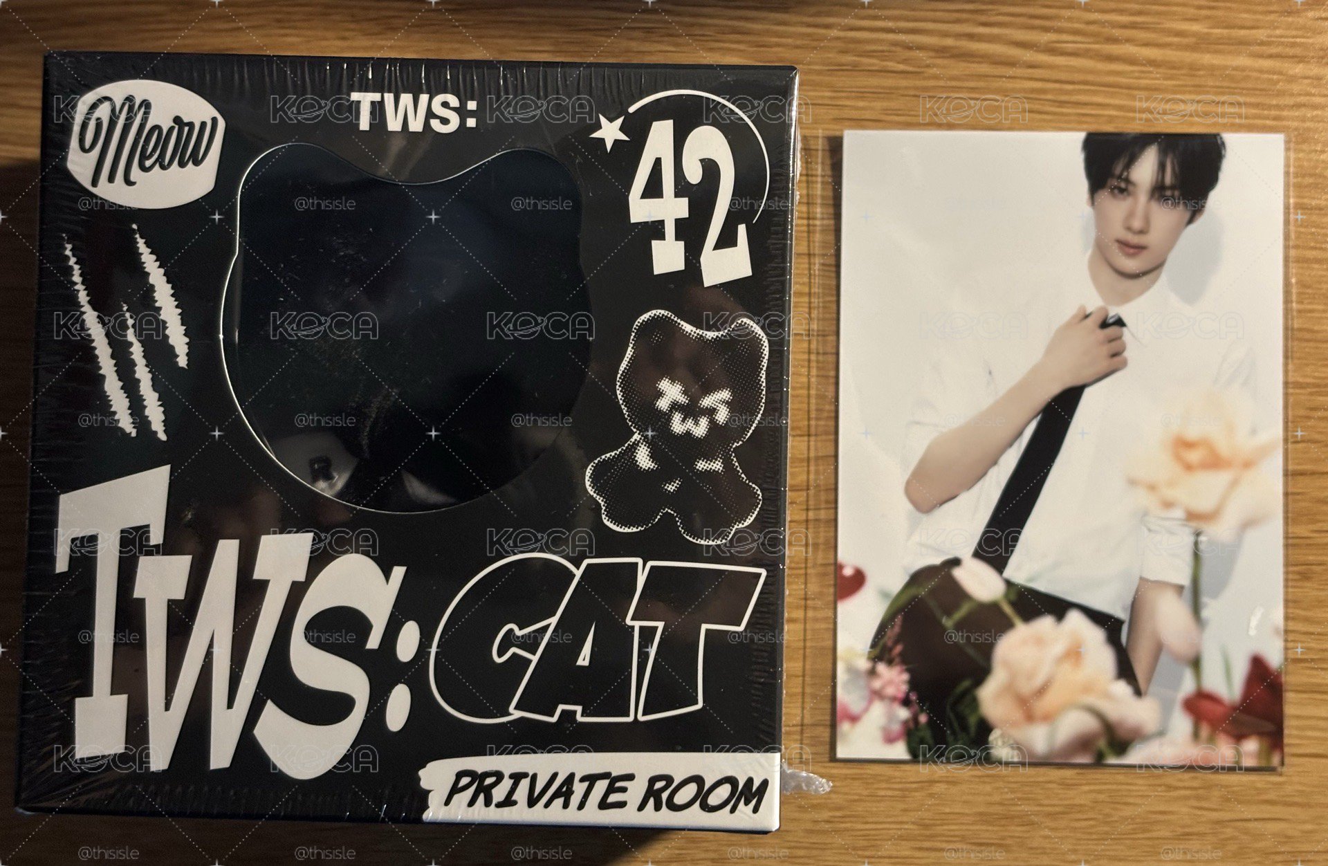 TWS 娃專 日本通路+通路特典 全新未拆