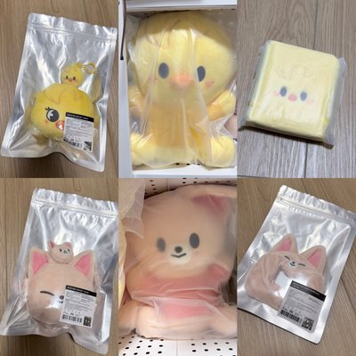 現貨 SKZOO EAATW 首爾快閃周邊