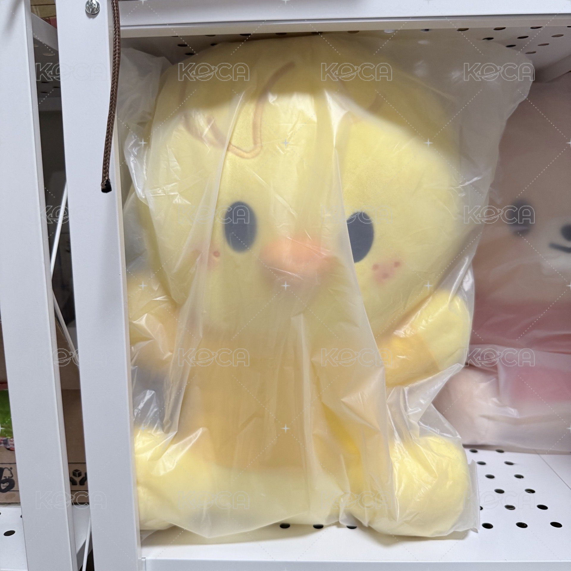 巨娃🐥