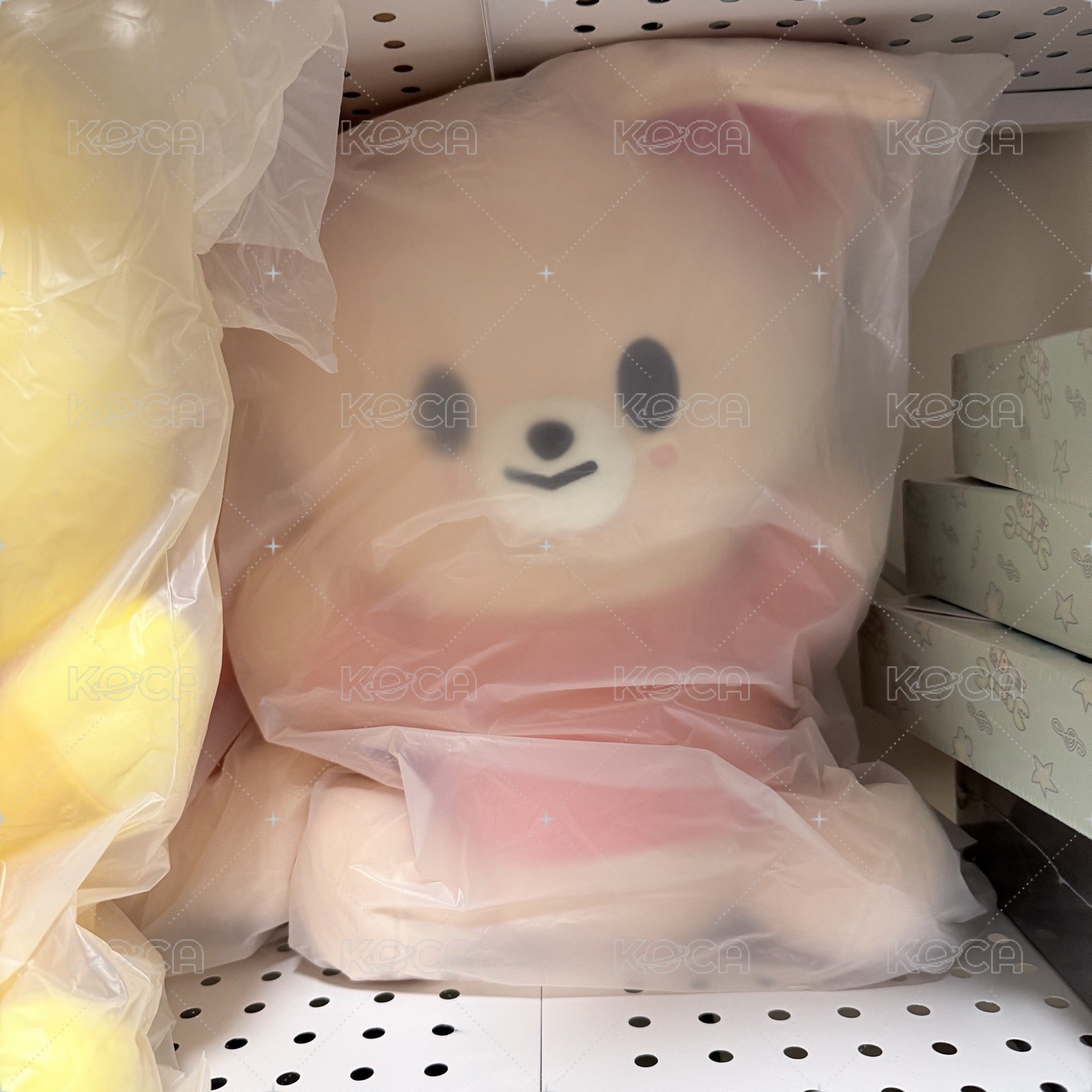 巨娃🦊