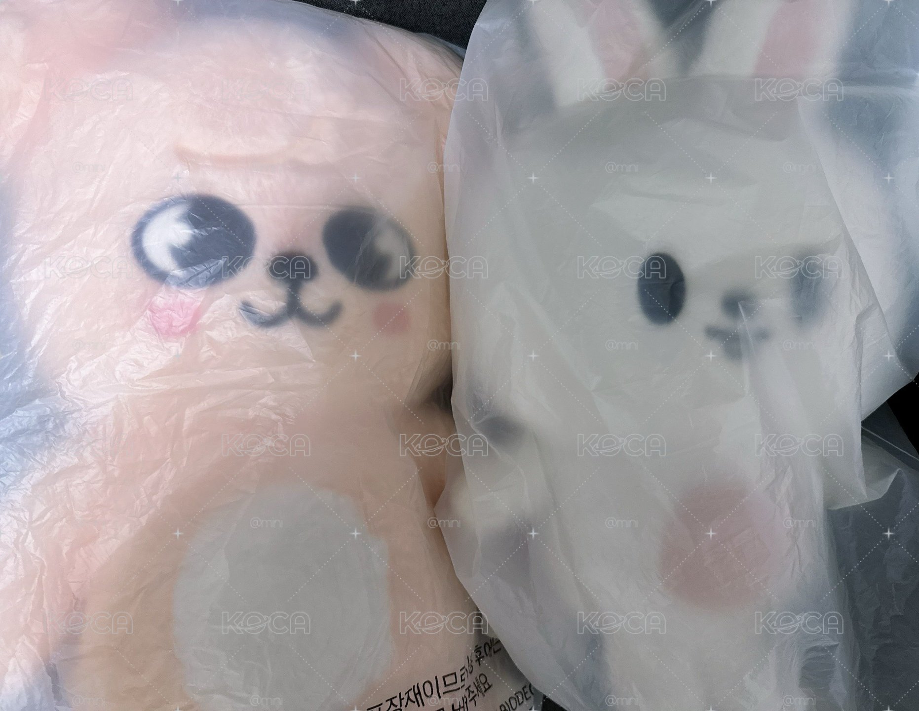 標價為總額 帕皮泰迪+李畢後背包