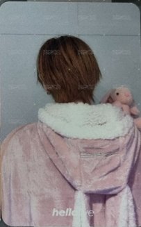 迷二 hl 預售 特典卡 兔子毛毯 背面