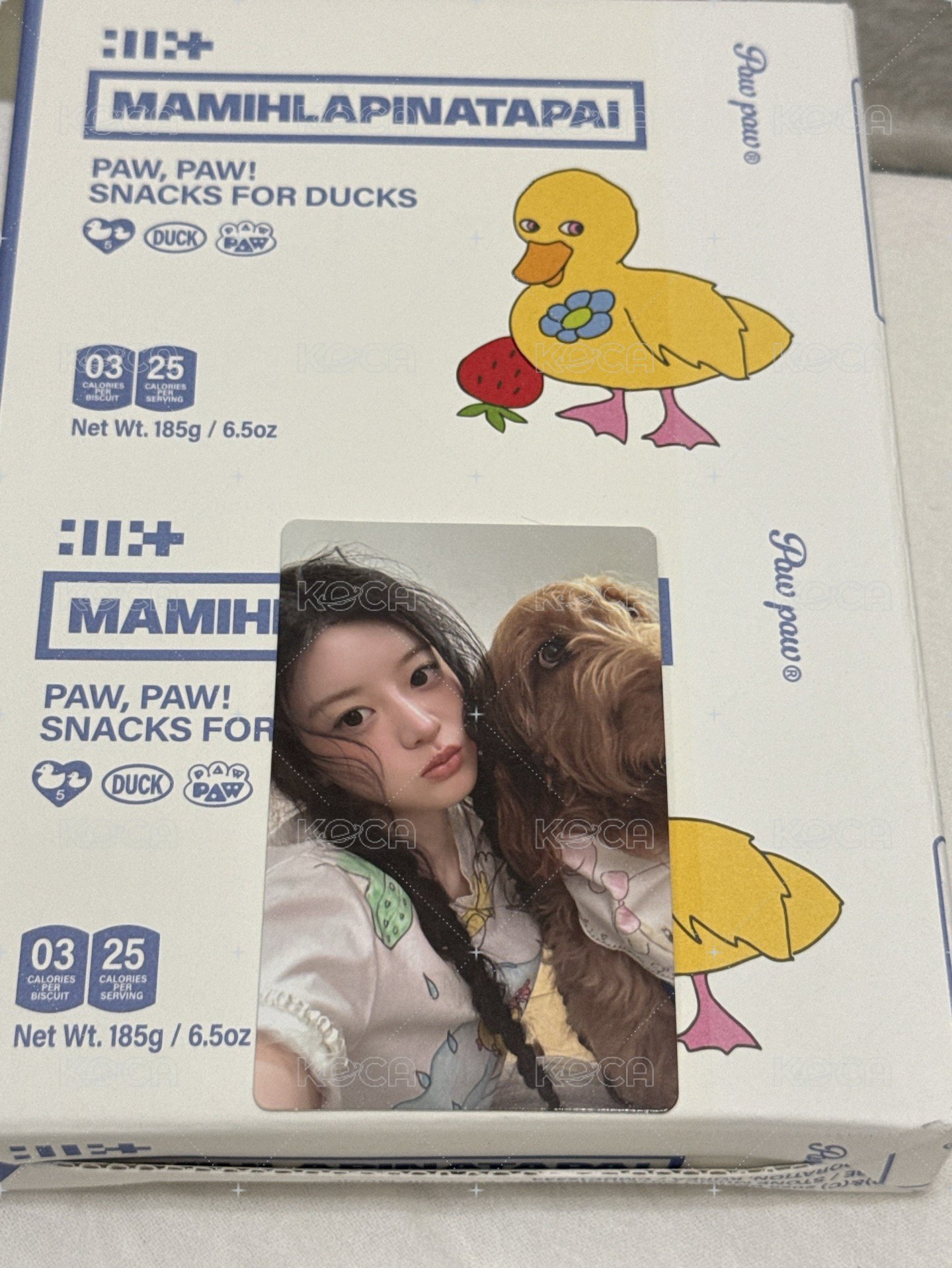 慜專+固配