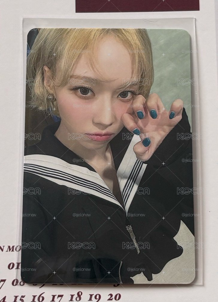 貓爪冬❄️