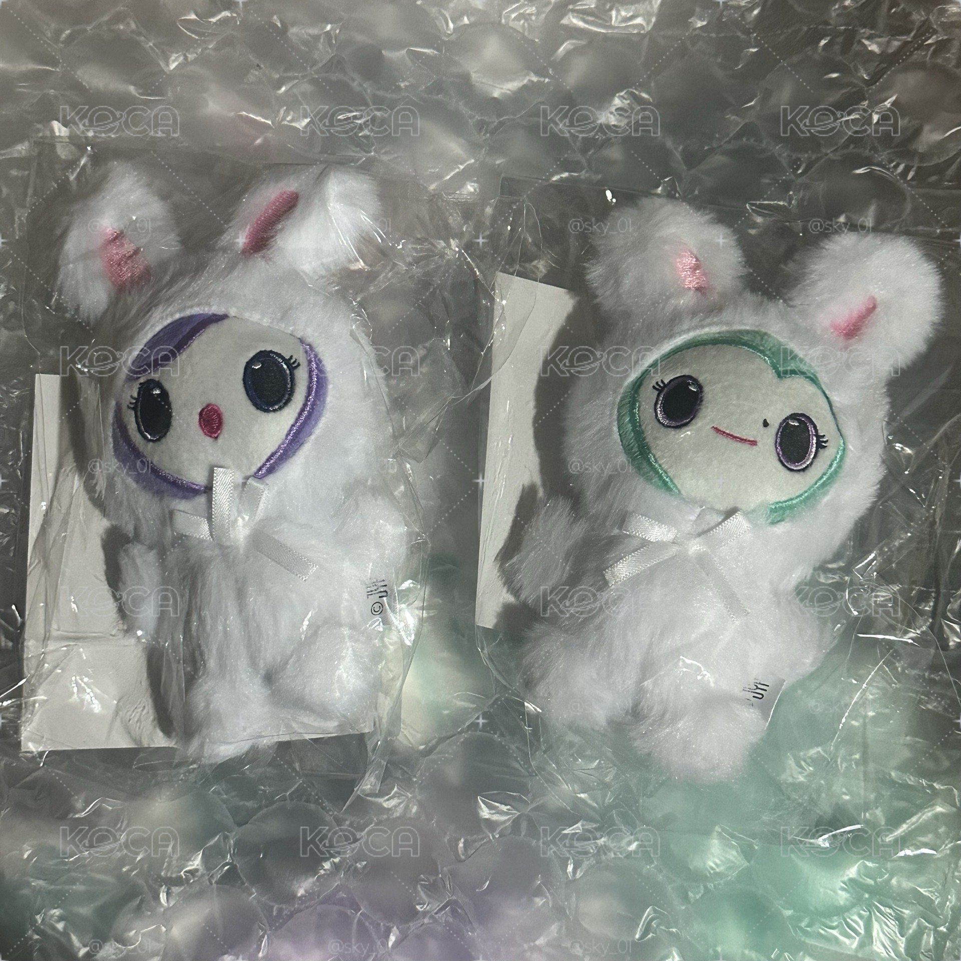 現貨 MISAMO SANA MINA兔娃
