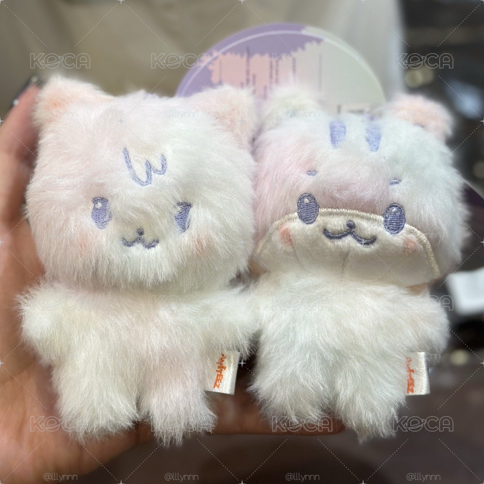 ANITEEZ IN COLOR 中傘混色娃