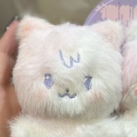 寶寶傘