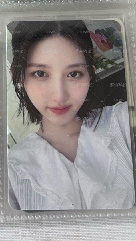 夏日寫真
