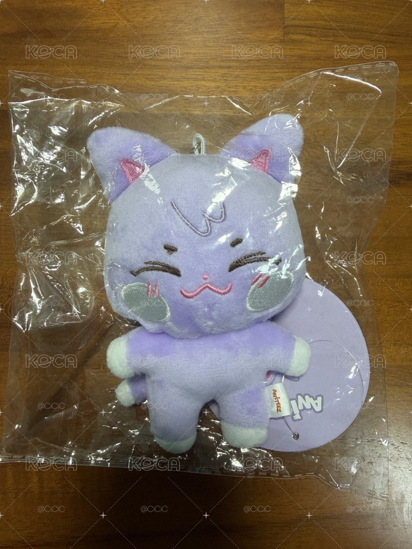 ANITEEZ 未拆原皮傘