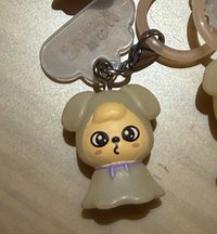 玟🐶