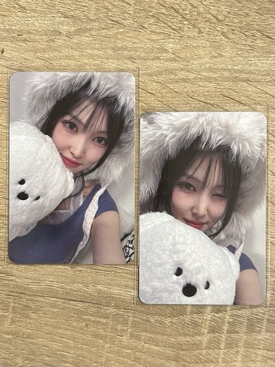 北極熊裕