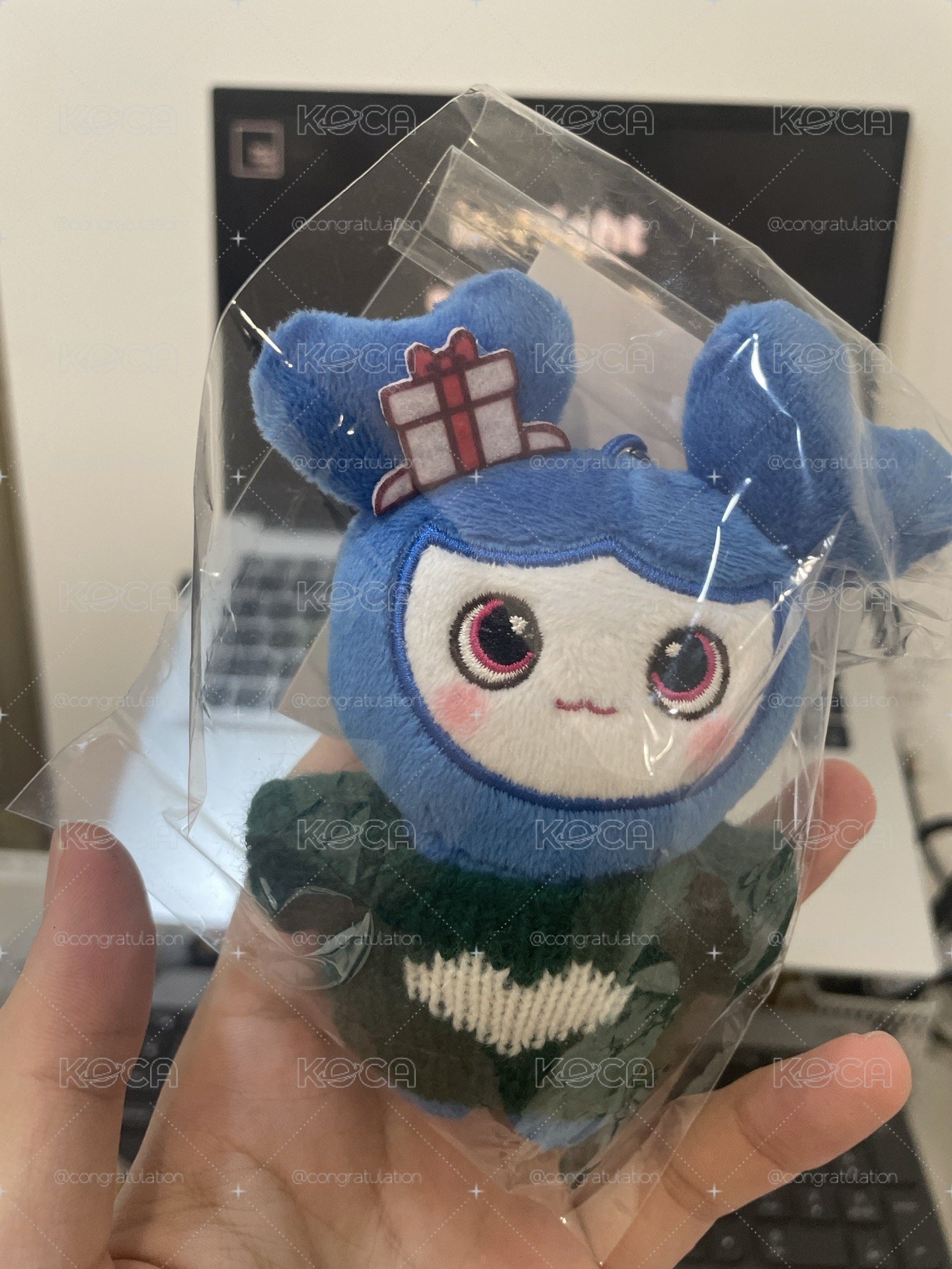 現貨袋子破損而已沒拿出來過