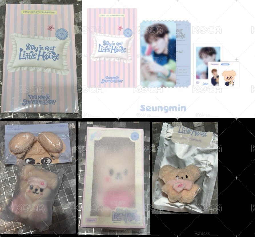 [全場無綁] SKZ 6期飯咪週邊