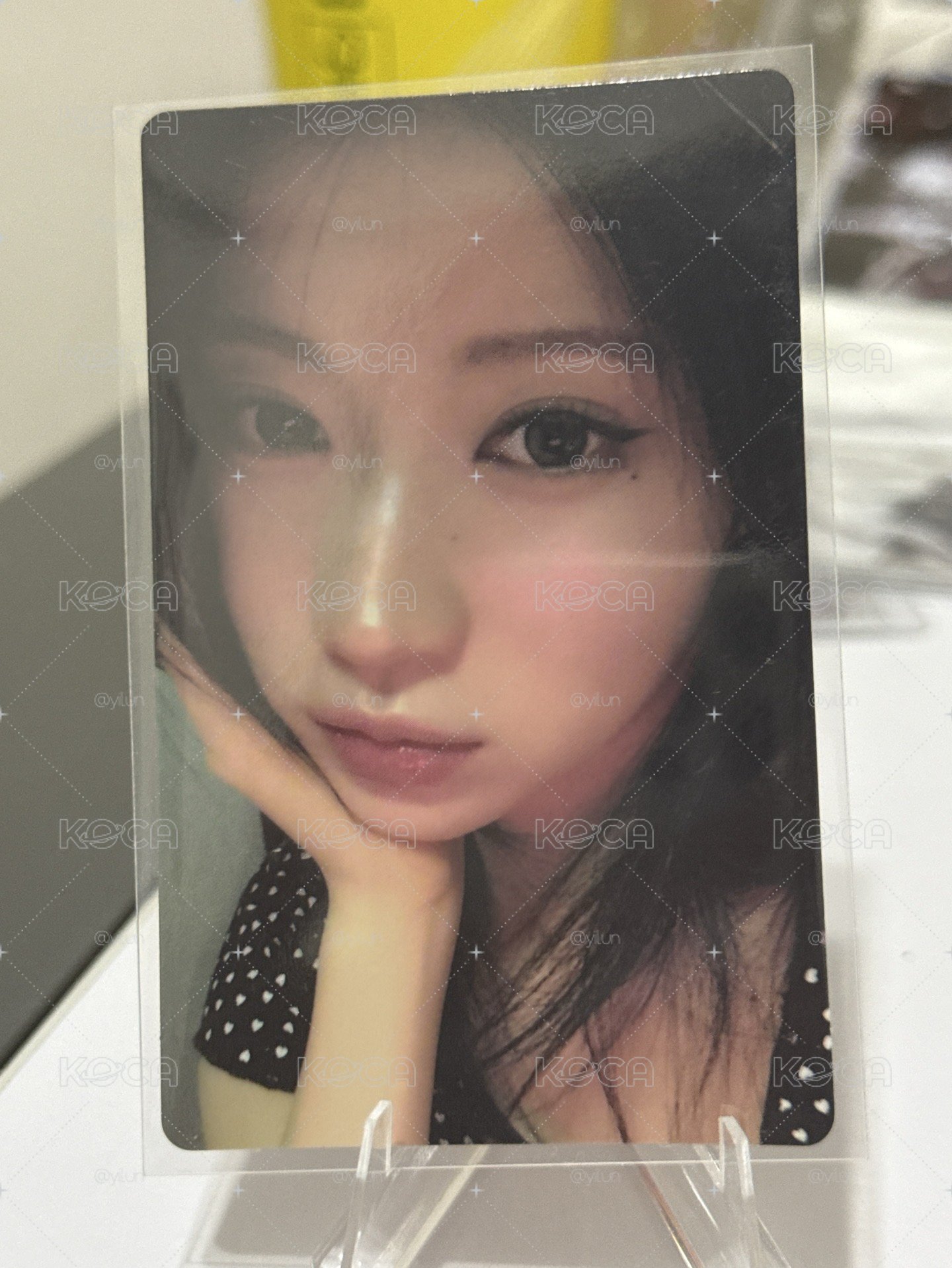 豬包角