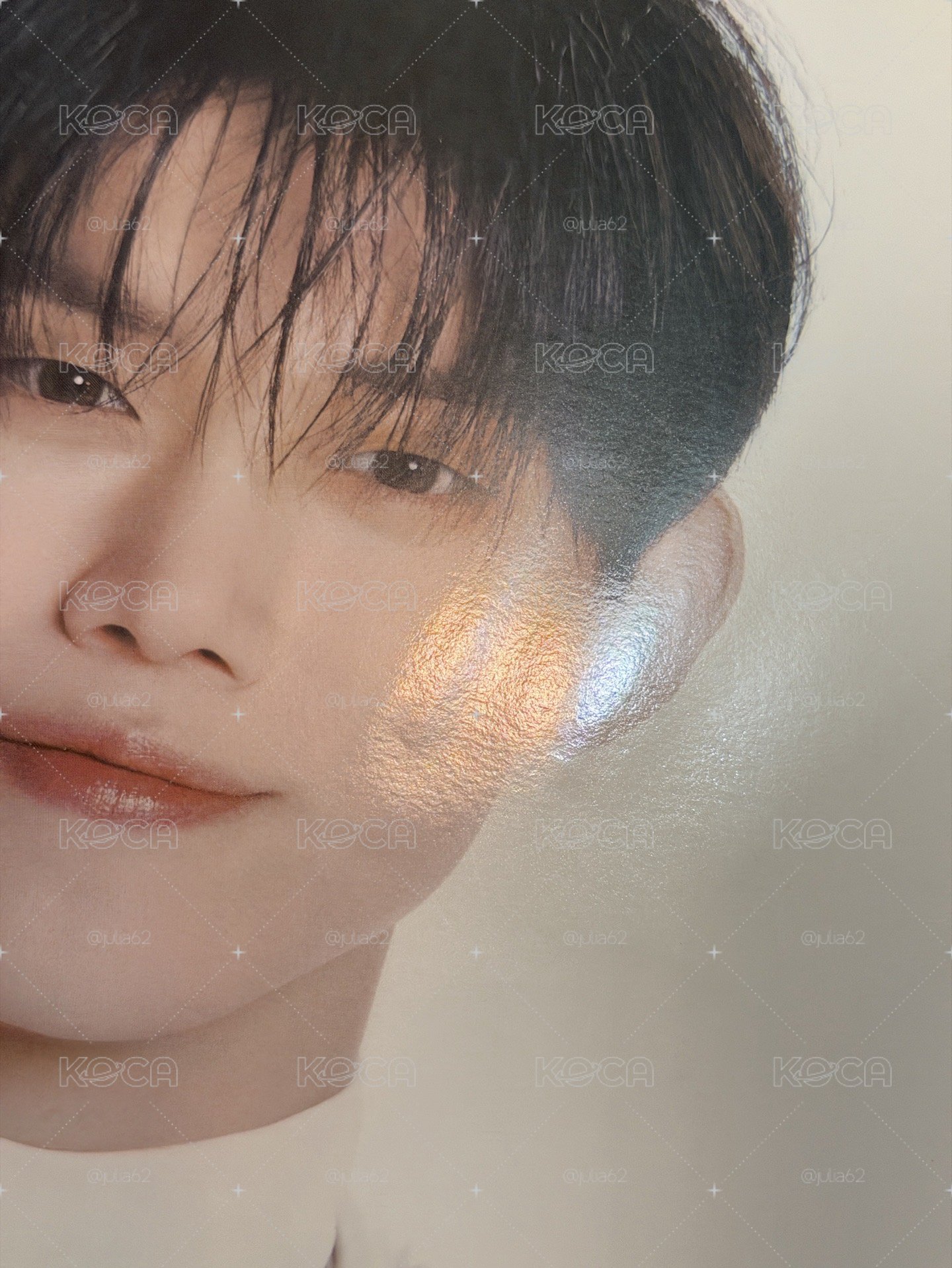 promise 竣王扇