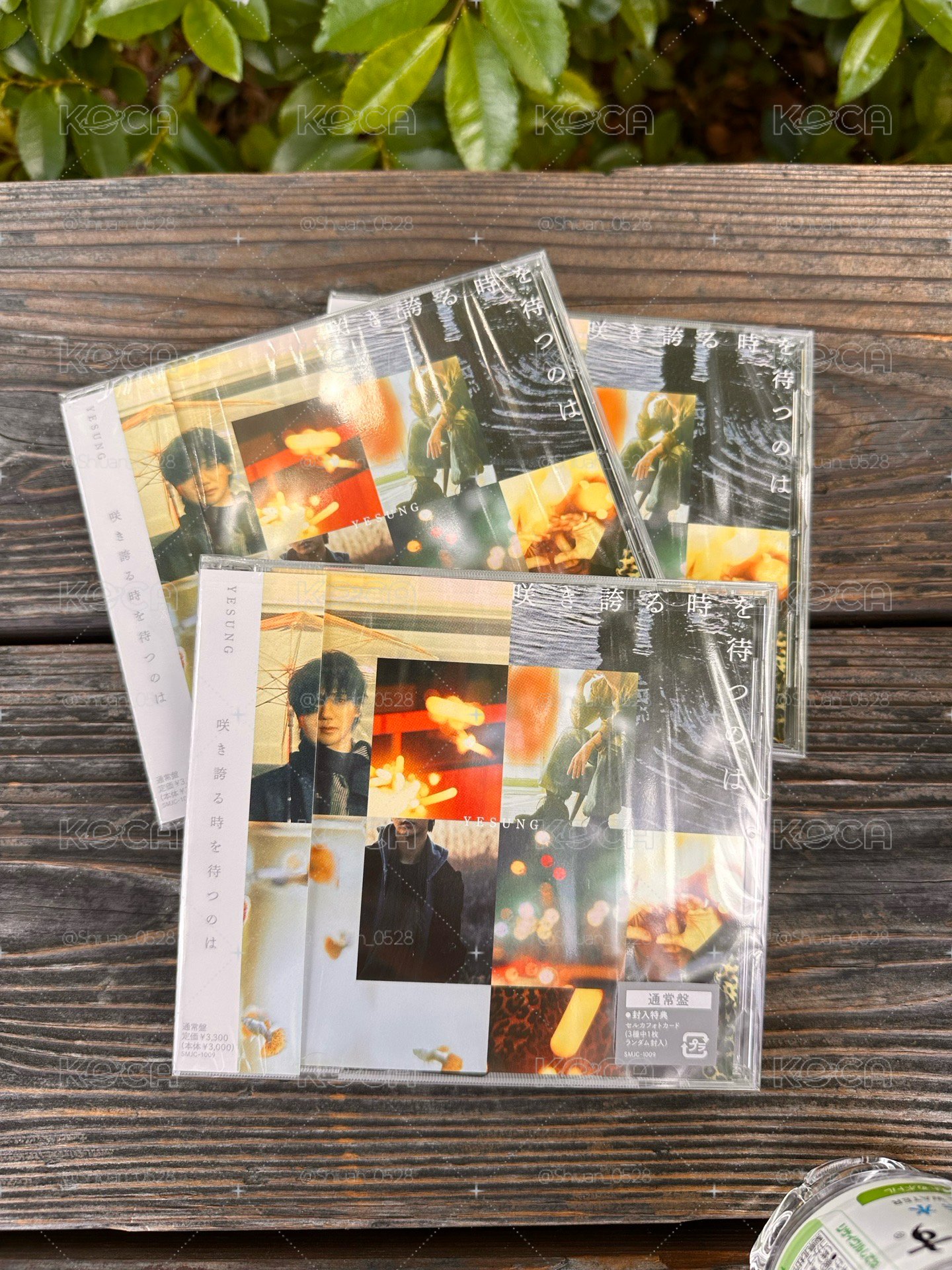 藝聲 日專正規二 通常盤