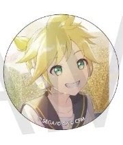 細閃 vol.7 A 徽章 fes花前