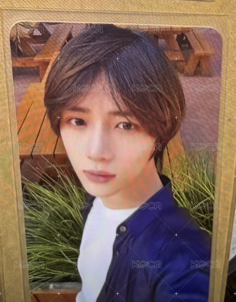 美巡寫真圭