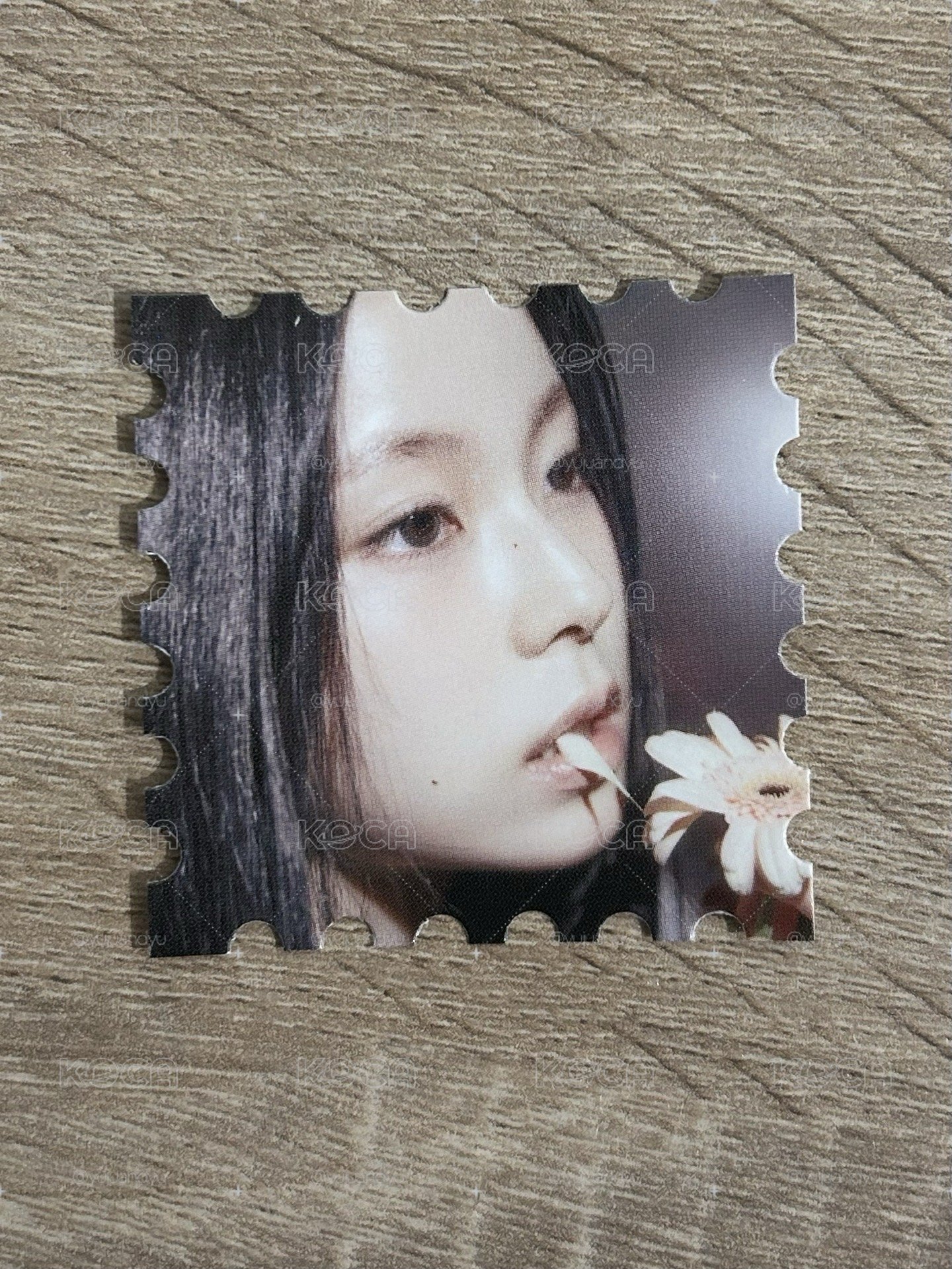 藍情 ms預售 郵票 圭