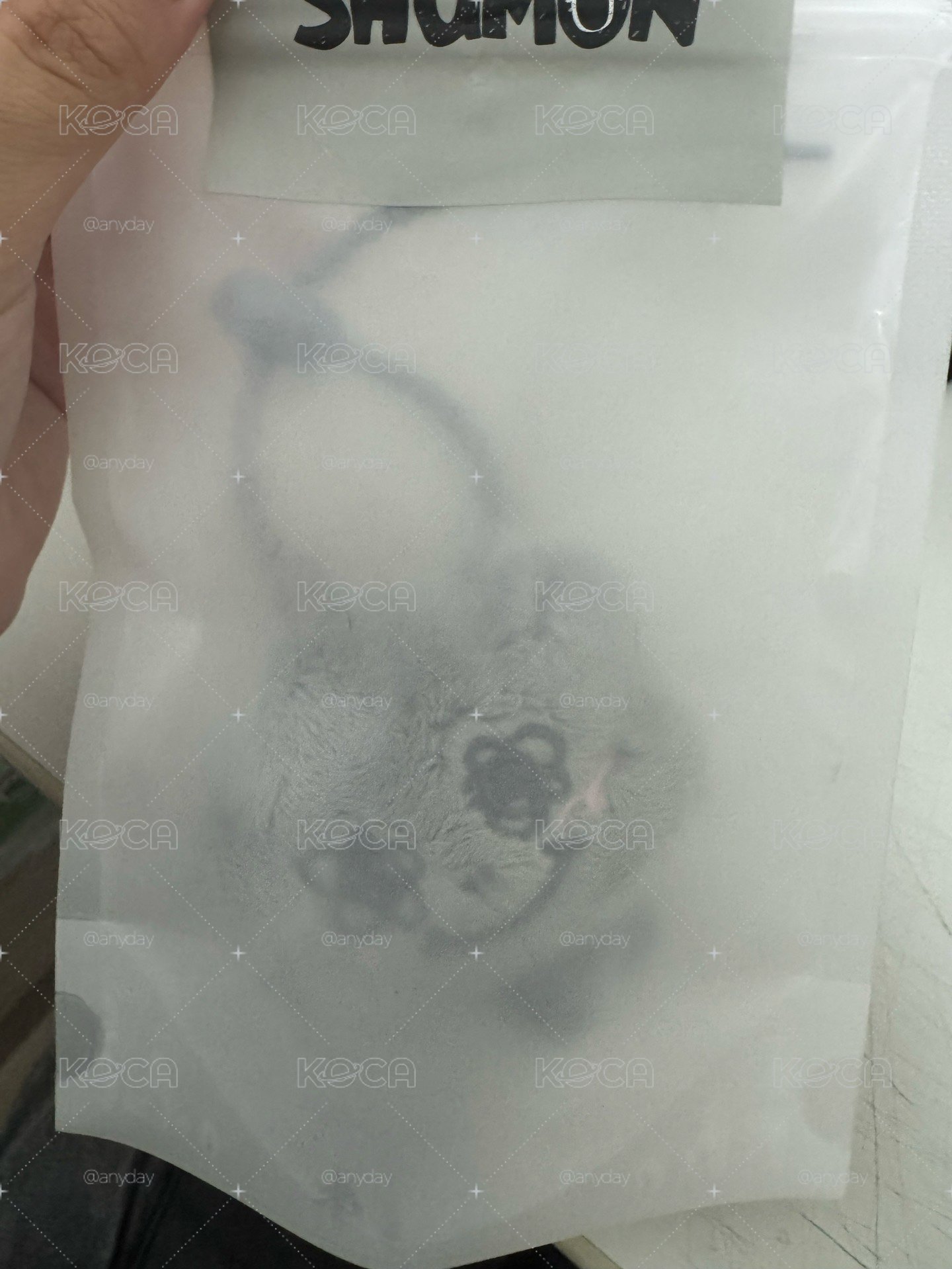 jisoo小灰塵僅拆