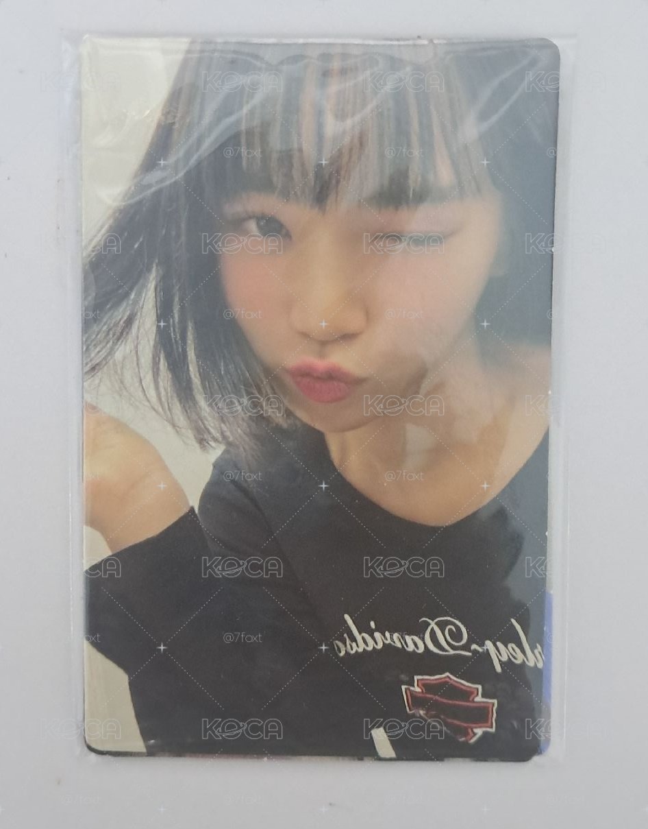 LE SSERAFIM會員禮一期小卡整套未拆