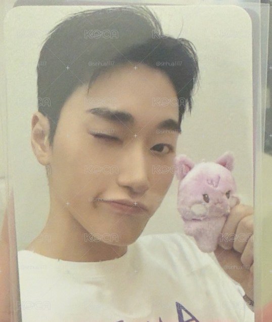 ANITEEZ IN THE CALLING 周邊卡 TINY ANITEEZ PLUSH DOLL