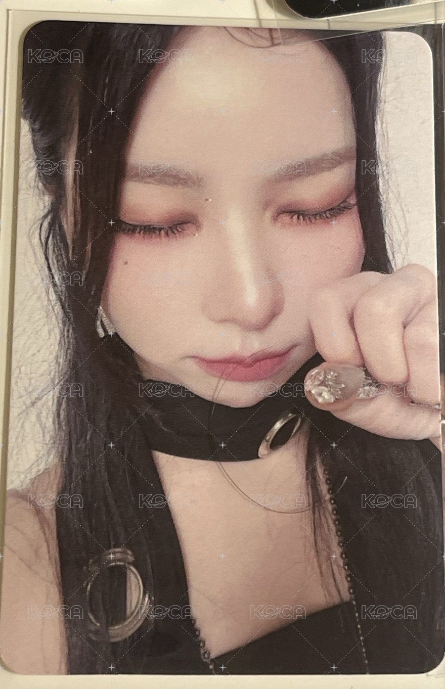 貓貓拳