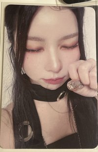 貓貓拳