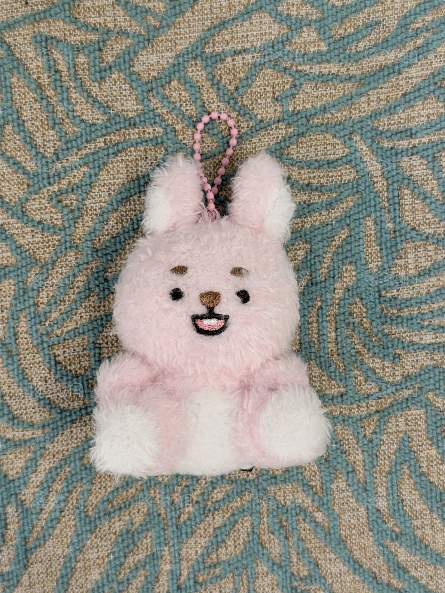 坐娃🐰