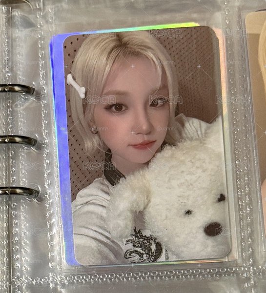 狗狗🐶琦 💕💕